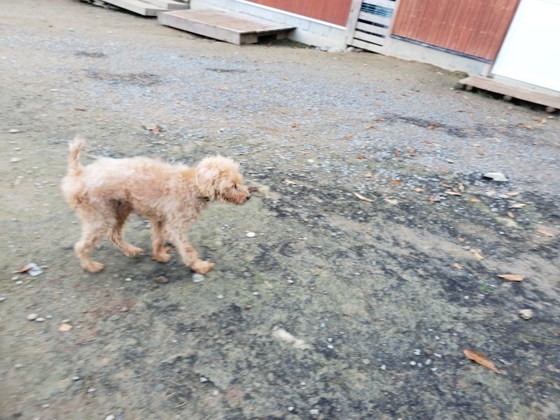 f:id:roukenhome-ann:20191118171629j:plain
