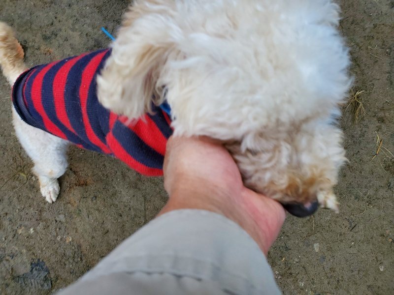 f:id:roukenhome-ann:20191118171654j:plain