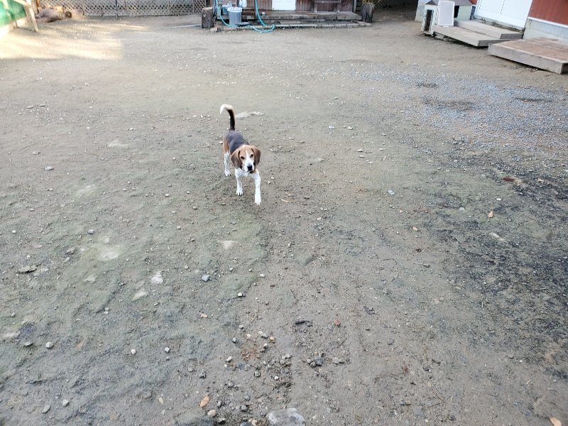 f:id:roukenhome-ann:20191118171916j:plain