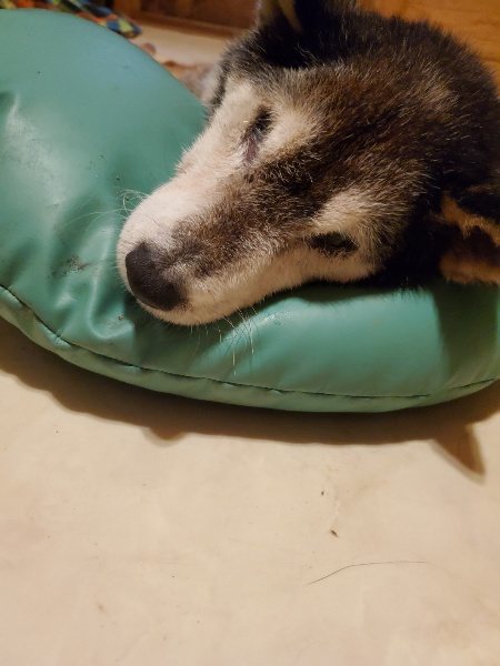 f:id:roukenhome-ann:20191120151932j:plain