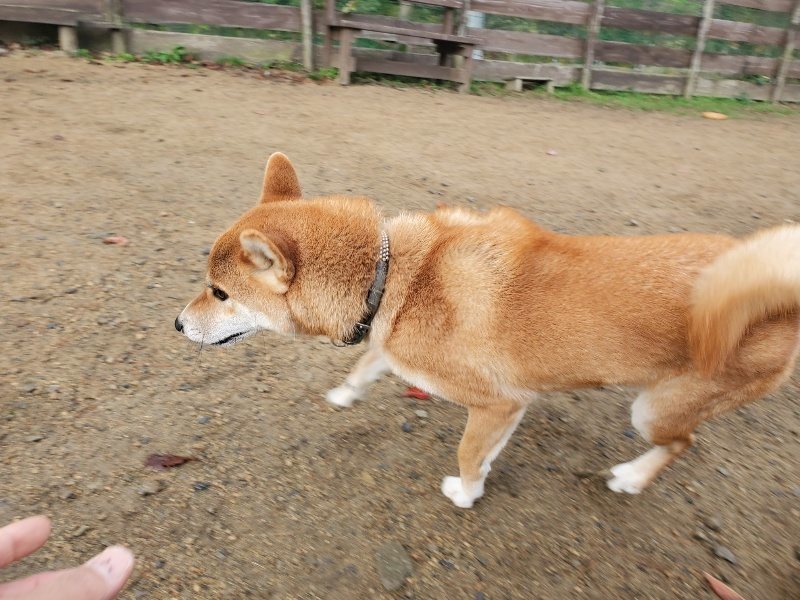 f:id:roukenhome-ann:20191120151941j:plain