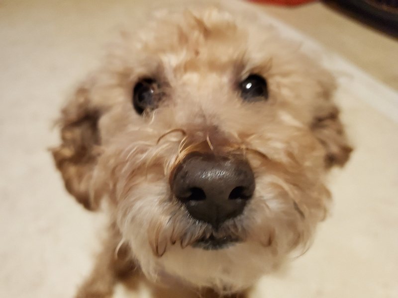 f:id:roukenhome-ann:20191120152142j:plain