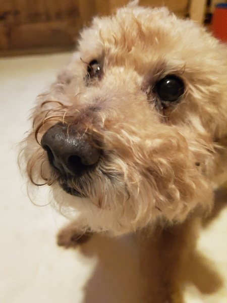 f:id:roukenhome-ann:20191120152158j:plain