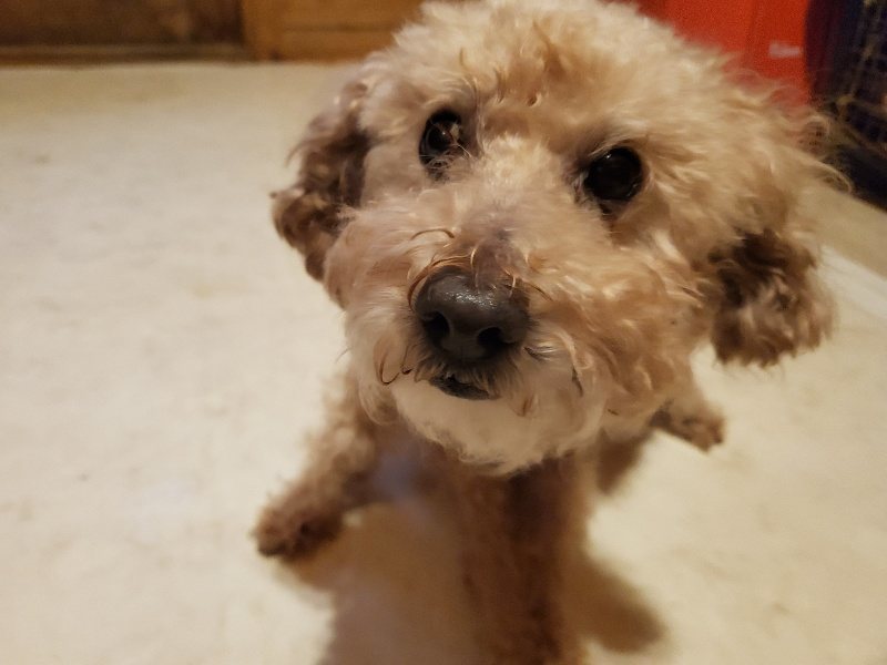 f:id:roukenhome-ann:20191120152202j:plain