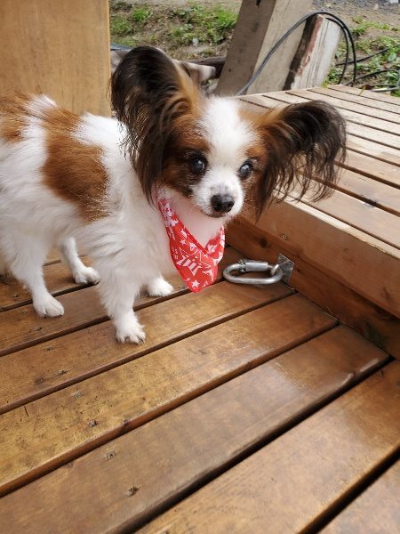f:id:roukenhome-ann:20191120153104j:plain