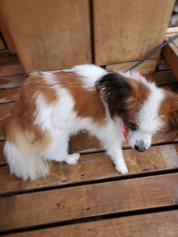 f:id:roukenhome-ann:20191120153114j:plain