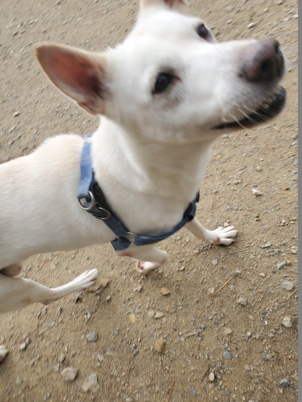 f:id:roukenhome-ann:20191120153224j:plain