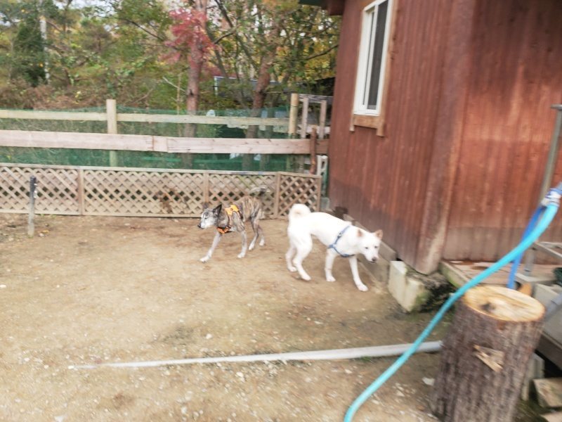 f:id:roukenhome-ann:20191120153229j:plain