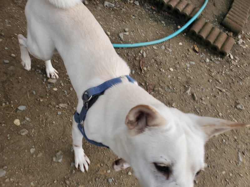 f:id:roukenhome-ann:20191120153238j:plain