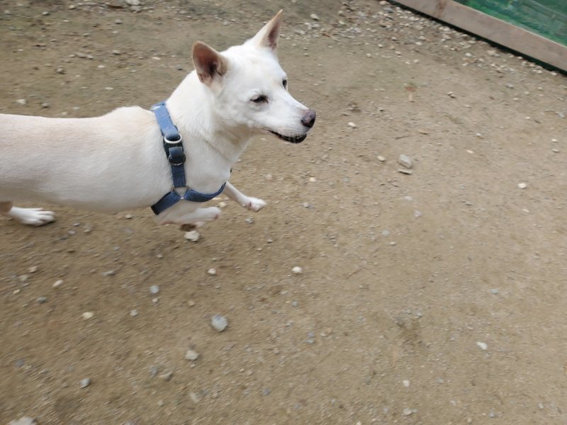 f:id:roukenhome-ann:20191120153246j:plain