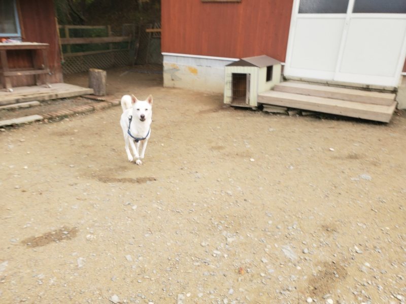 f:id:roukenhome-ann:20191120153251j:plain