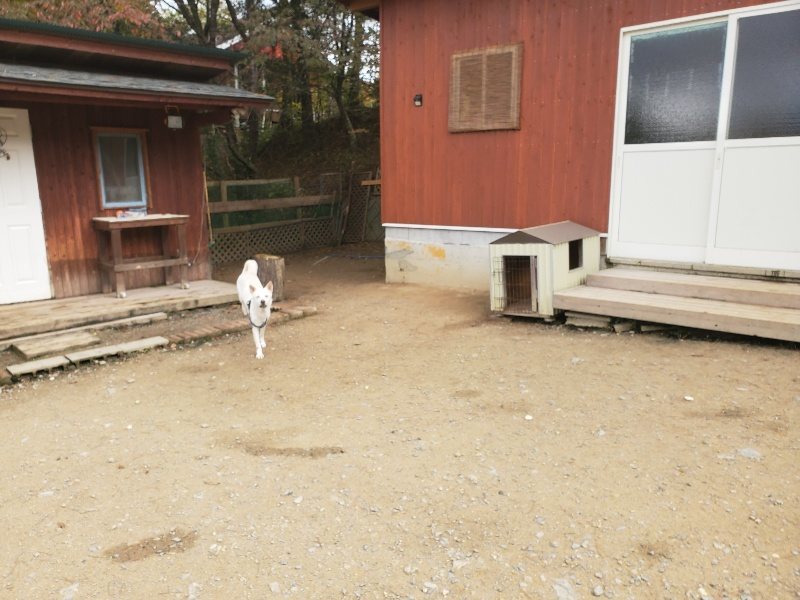 f:id:roukenhome-ann:20191120153307j:plain