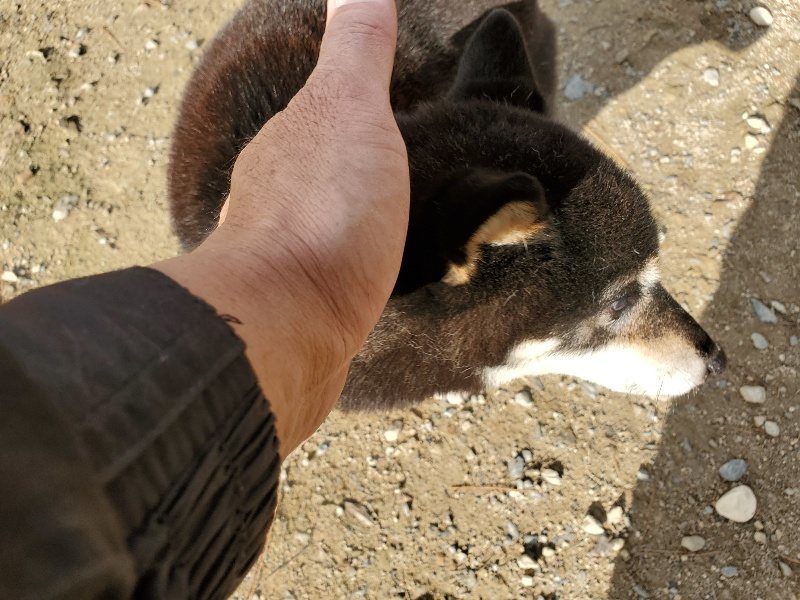 f:id:roukenhome-ann:20191120153324j:plain