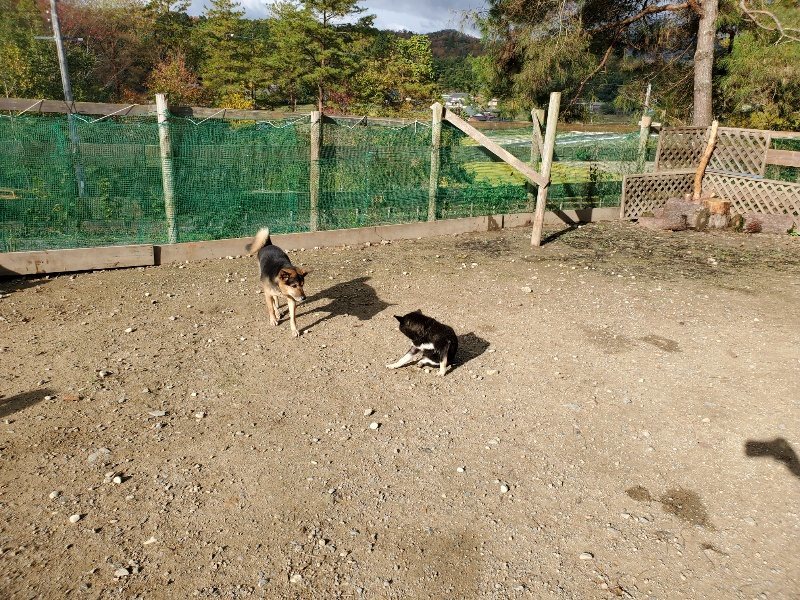 f:id:roukenhome-ann:20191120153404j:plain