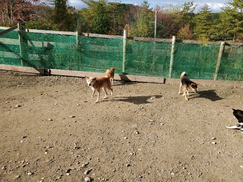 f:id:roukenhome-ann:20191120153424j:plain