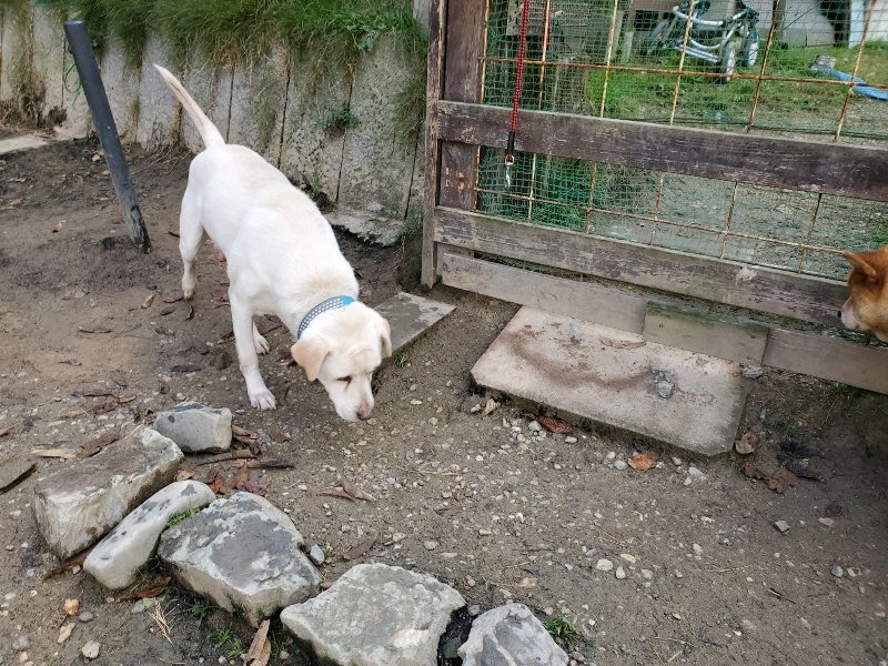 f:id:roukenhome-ann:20191120153617j:plain