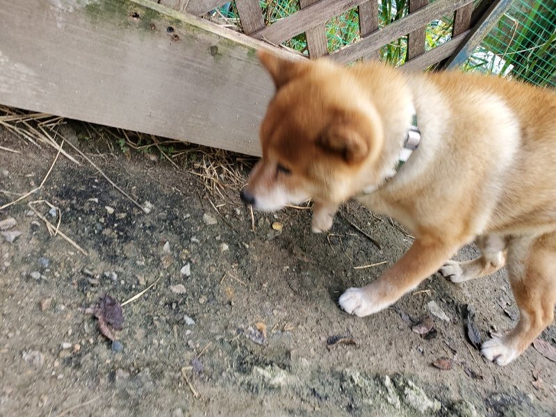 f:id:roukenhome-ann:20191120153640j:plain