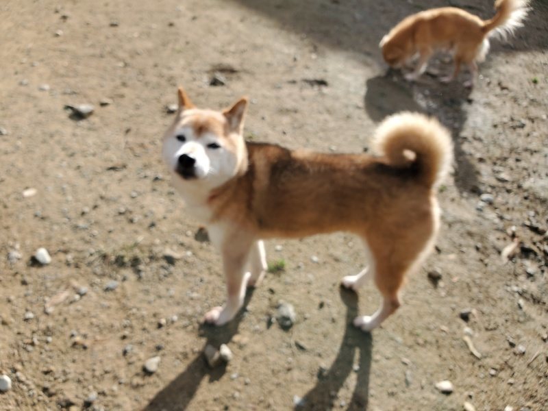 f:id:roukenhome-ann:20191120153850j:plain