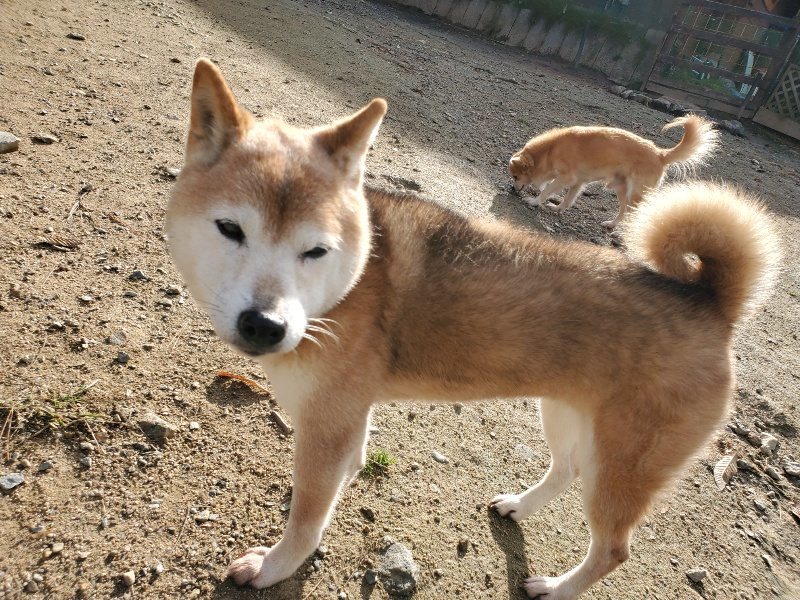 f:id:roukenhome-ann:20191120153904j:plain