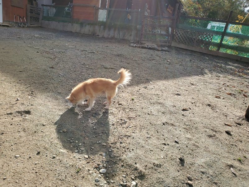 f:id:roukenhome-ann:20191120153909j:plain