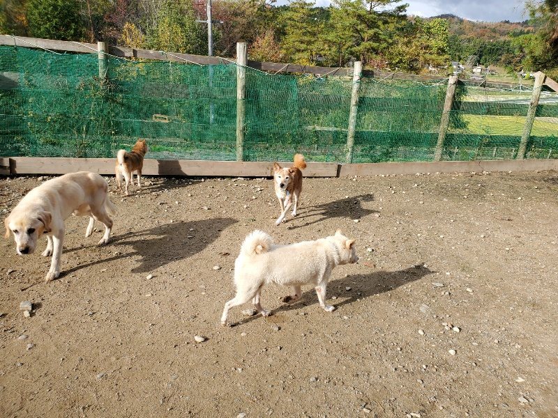 f:id:roukenhome-ann:20191120153930j:plain