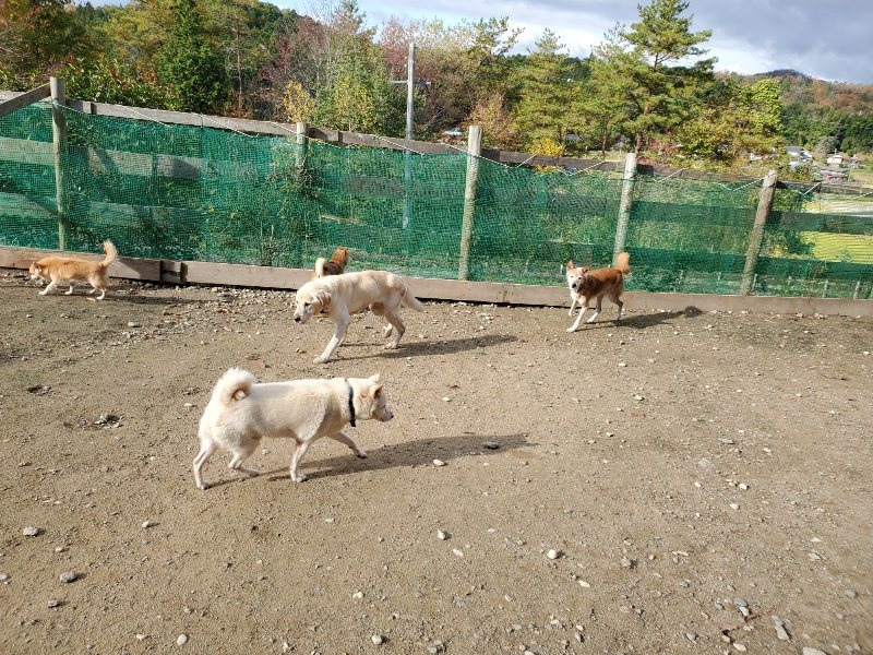 f:id:roukenhome-ann:20191120153940j:plain