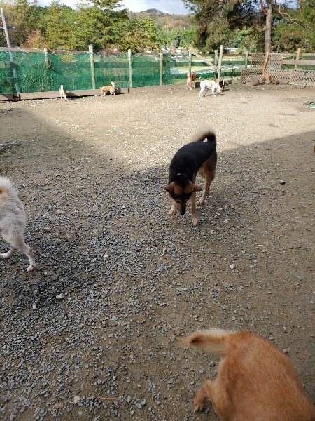 f:id:roukenhome-ann:20191120154006j:plain