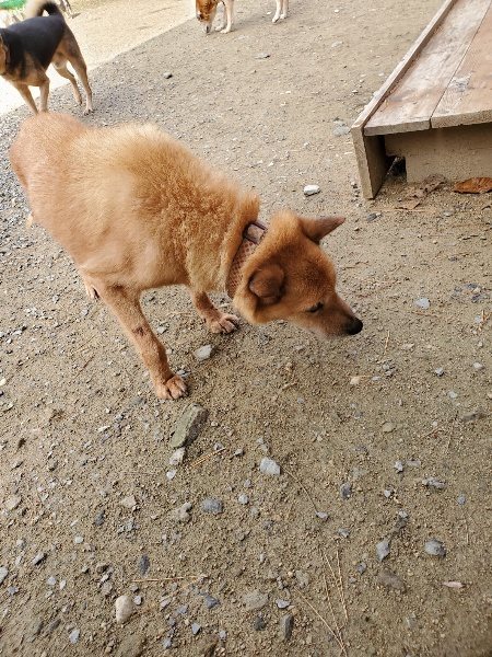 f:id:roukenhome-ann:20191120154011j:plain