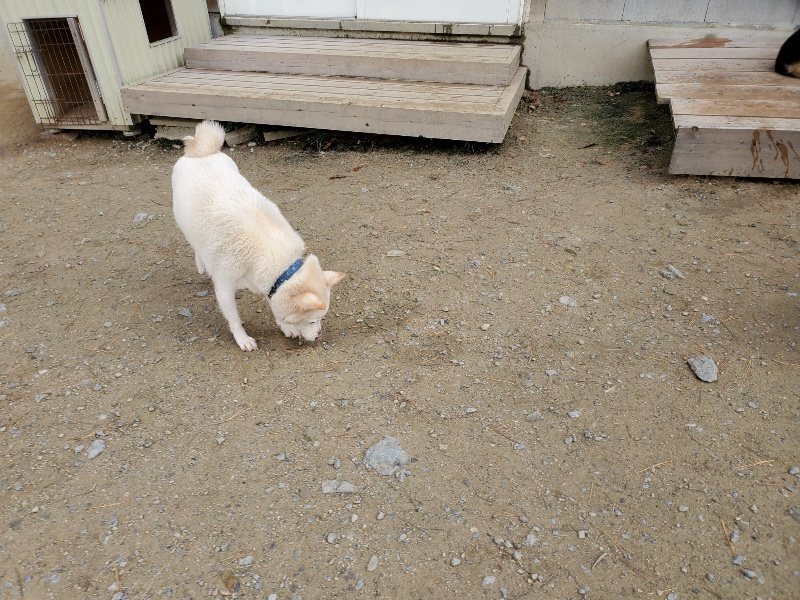 f:id:roukenhome-ann:20191120154053j:plain