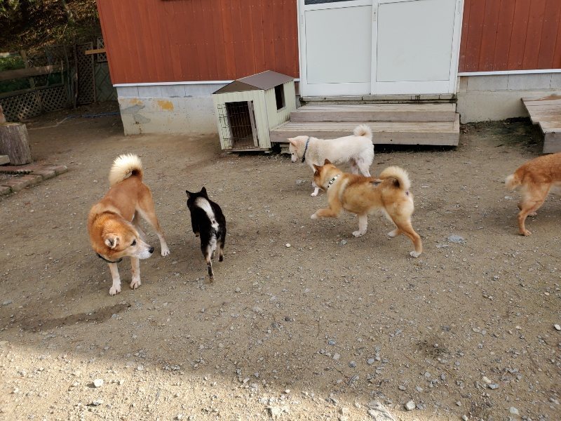 f:id:roukenhome-ann:20191120154104j:plain