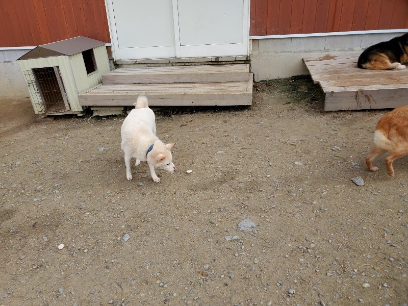f:id:roukenhome-ann:20191120154139j:plain