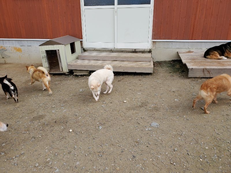 f:id:roukenhome-ann:20191120154144j:plain