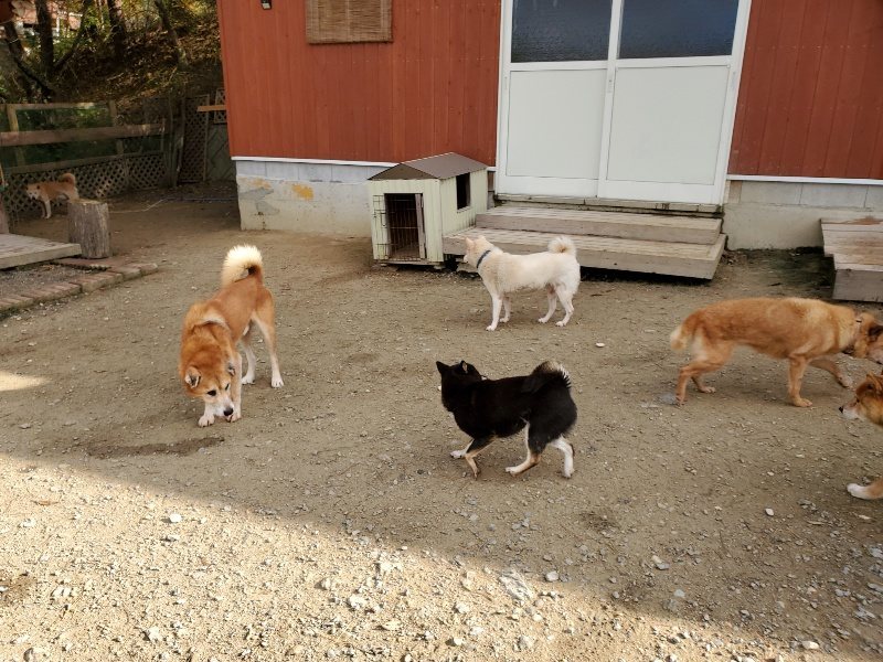 f:id:roukenhome-ann:20191120154151j:plain