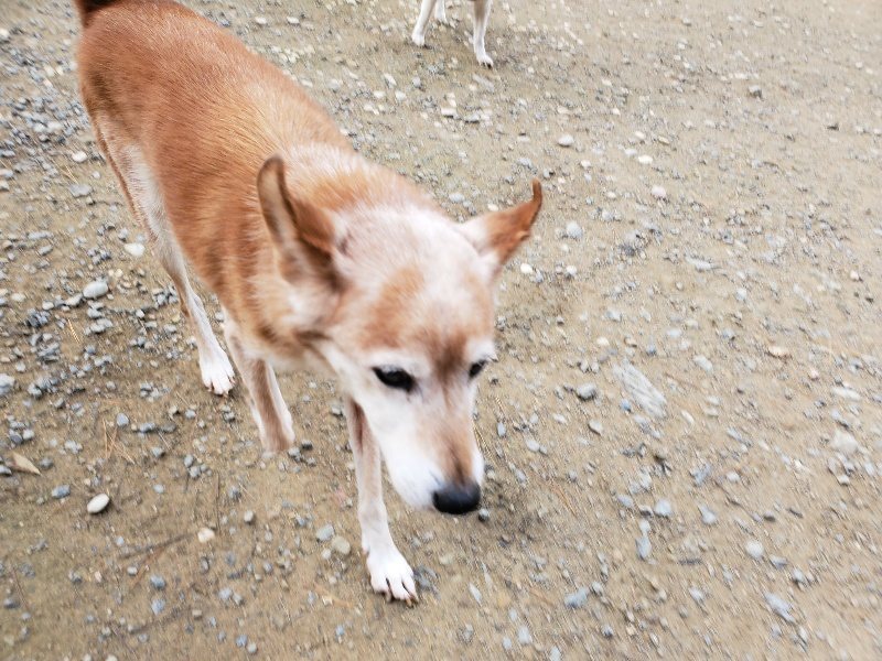 f:id:roukenhome-ann:20191120172008j:plain