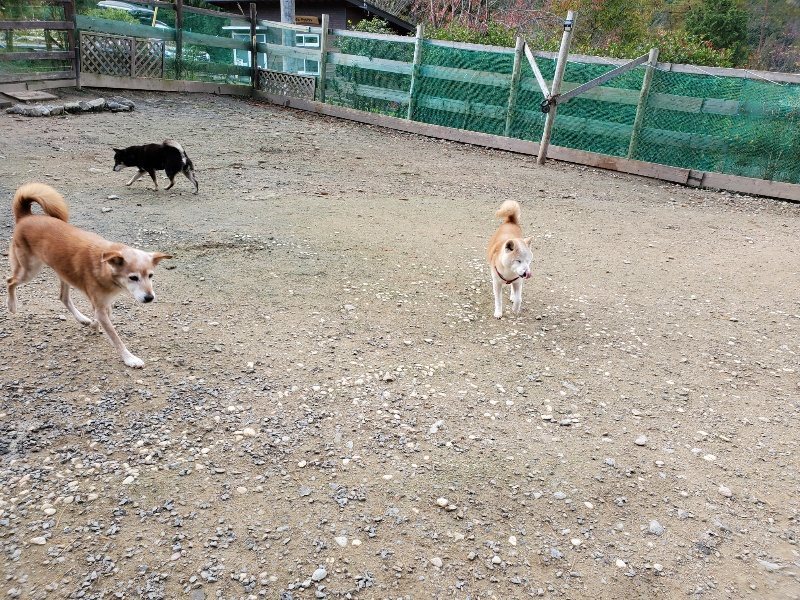 f:id:roukenhome-ann:20191120172015j:plain