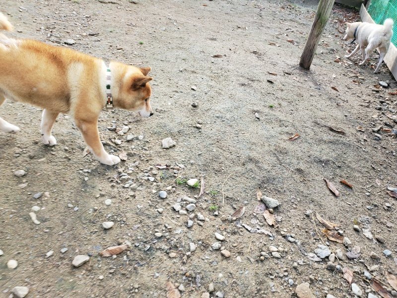 f:id:roukenhome-ann:20191120172056j:plain