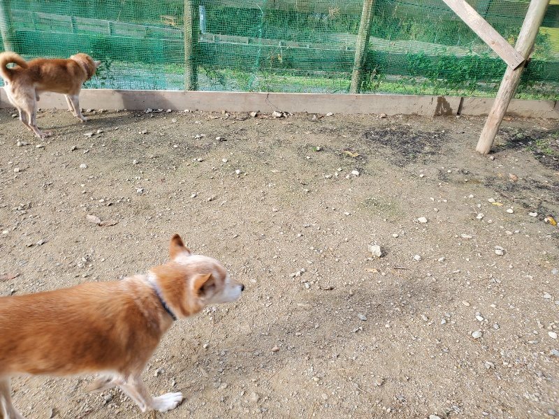 f:id:roukenhome-ann:20191120172119j:plain