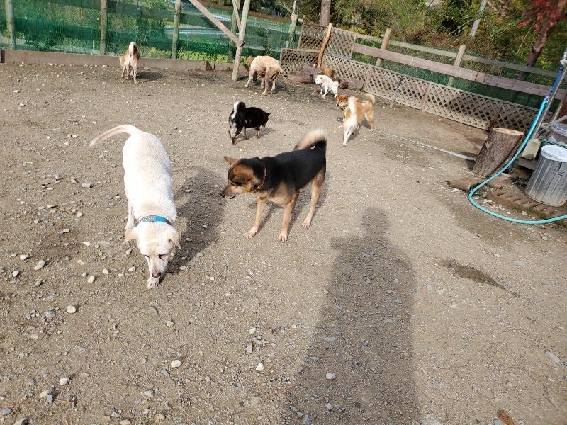 f:id:roukenhome-ann:20191120172216j:plain