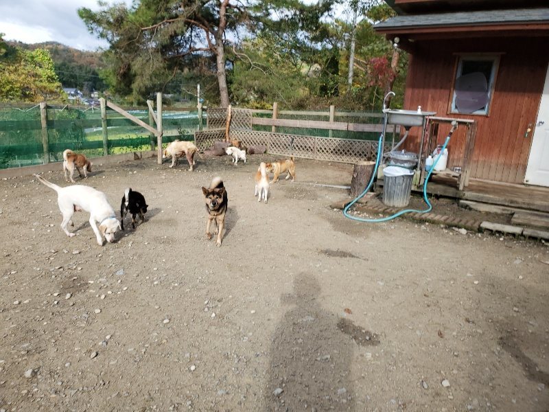 f:id:roukenhome-ann:20191120172229j:plain