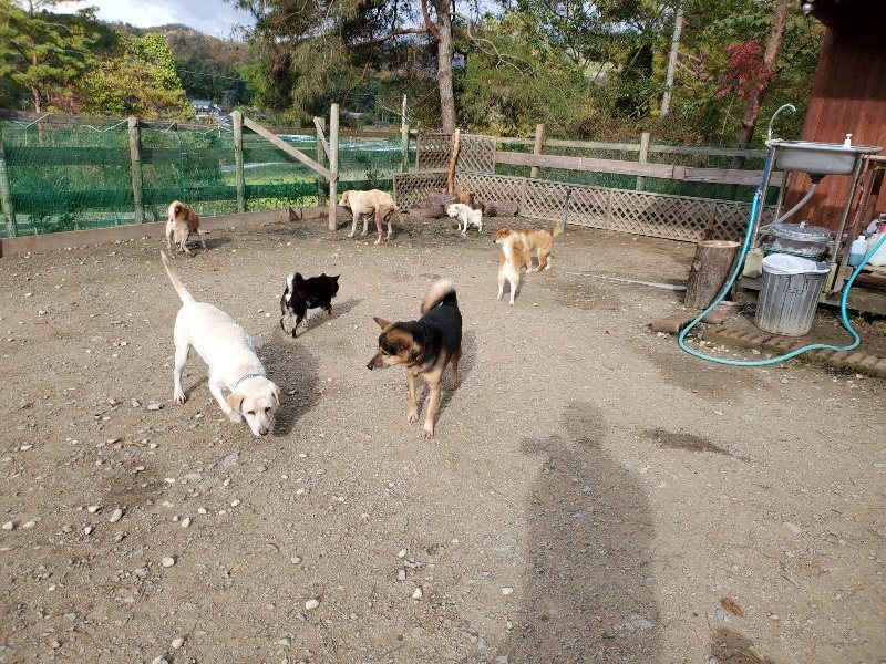 f:id:roukenhome-ann:20191120172239j:plain