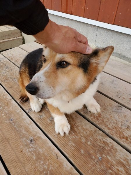 f:id:roukenhome-ann:20191120172356j:plain