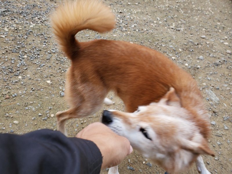 f:id:roukenhome-ann:20191120172422j:plain