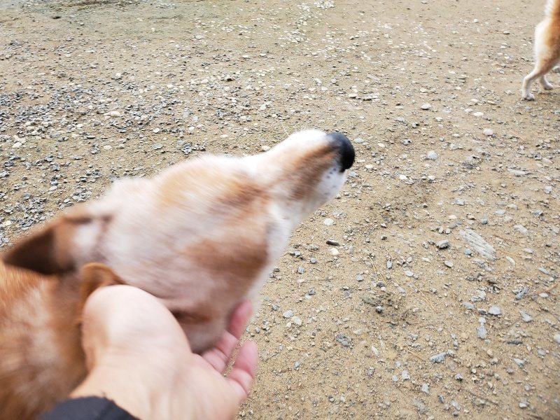 f:id:roukenhome-ann:20191120172428j:plain
