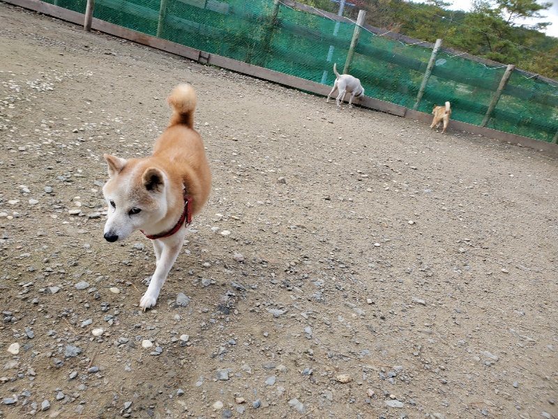 f:id:roukenhome-ann:20191120172438j:plain