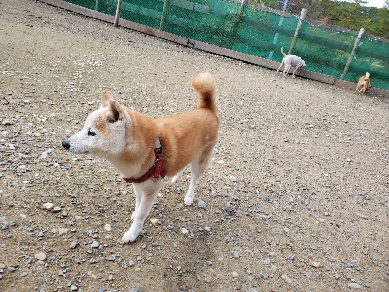 f:id:roukenhome-ann:20191120172454j:plain