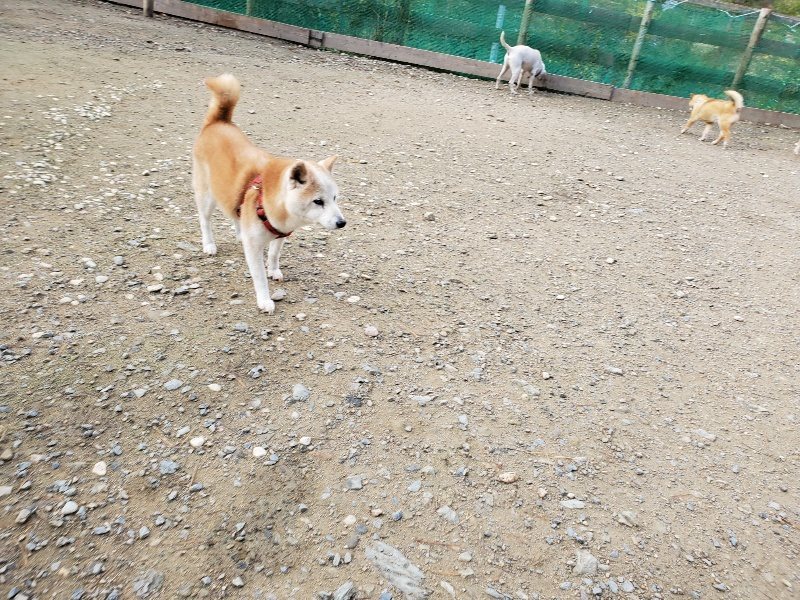 f:id:roukenhome-ann:20191120172525j:plain