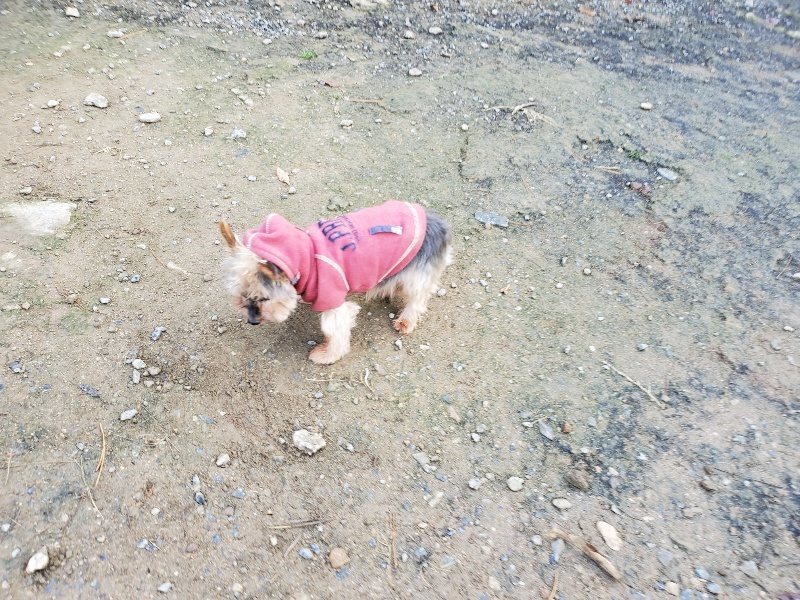 f:id:roukenhome-ann:20191120174818j:plain