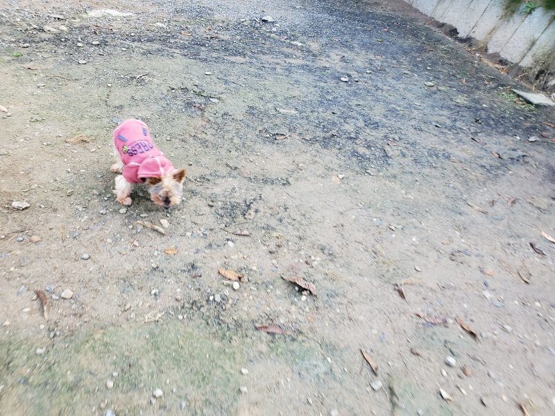 f:id:roukenhome-ann:20191120174824j:plain
