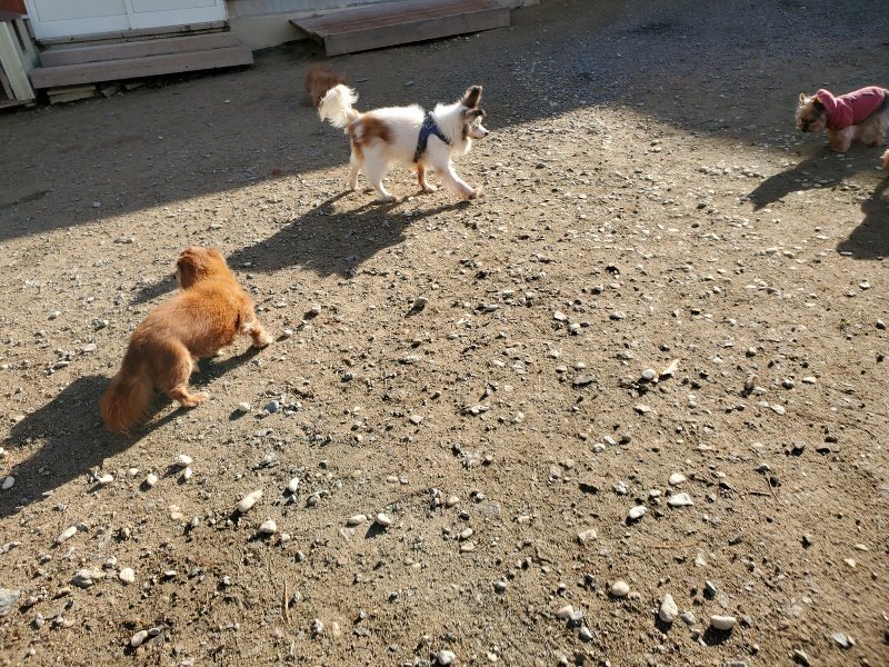 f:id:roukenhome-ann:20191120174907j:plain