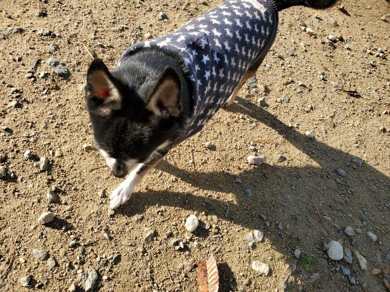 f:id:roukenhome-ann:20191120174923j:plain